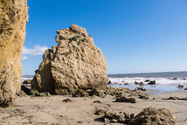 istock El Matador Beach, California 1130219427