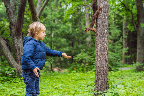 istock Boy and little squirrel in the park 1130222001