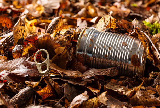 istock Tin can waste on forest floor closeup 1130228244
