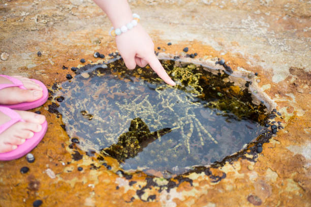 Touching a clear stream water