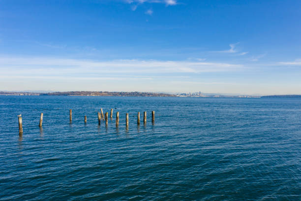 Seattle Skyline View From Bainbridge Island Waterfont Seagulls