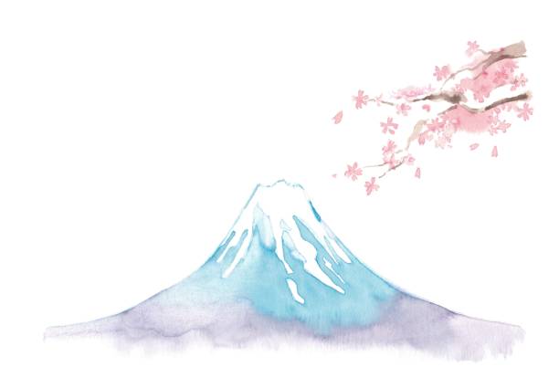 Beautiful Mt. Fuji Beautiful Mt. Fuji
Mt. Fuji in a snow-covered top
Cherry tree 雪 stock illustrations