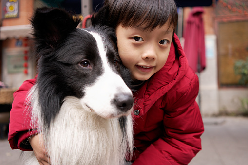 Little boy with  Border collie