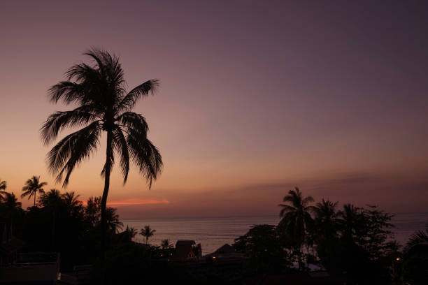 istock Sunset in thailand with palm trees 1130234099
