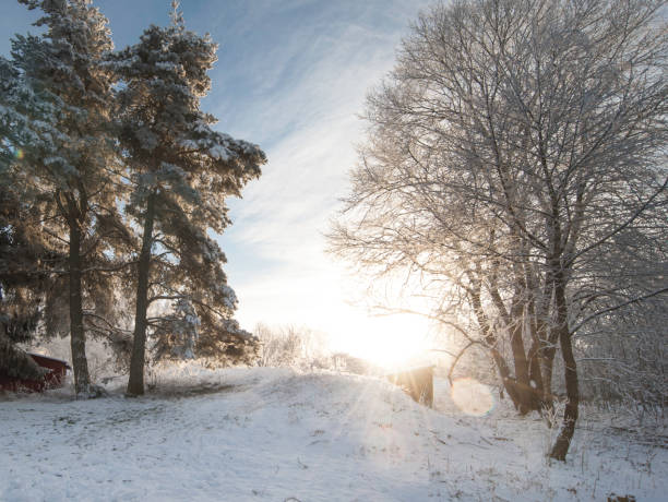 Soluppgång över fält en tidig morgon en tidig vår i Sverige. Vackra ljusa färger och svaga moln