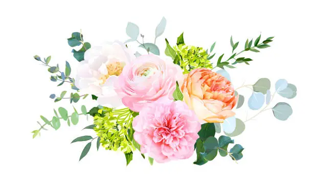 Vector illustration of Coral juliet garden rose, pink ranunculus, peony, green hydrangea, eucalyptus