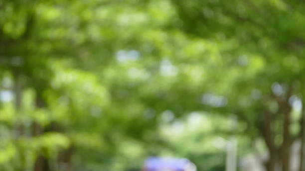 istock Defocused flowers and plants in meadow in moved background 1130235400