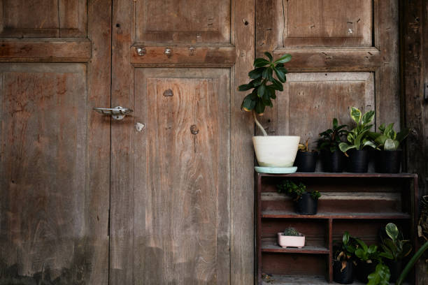 istock White flower pot and wooden wall 1130237129