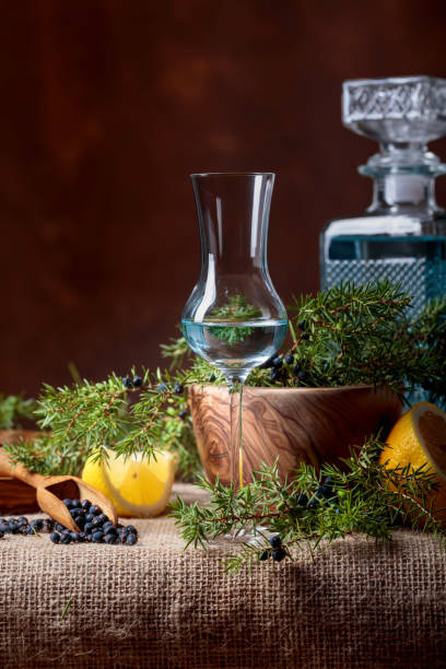 istock Blue gin,  lemon and a branch of juniper. 1130238156