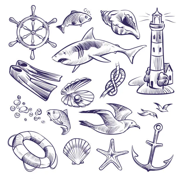 Vector illustration of Hand drawn marine set. Sea ocean voyage lighthouse shark knot shell lifebuoy seagull anchor steering wheel