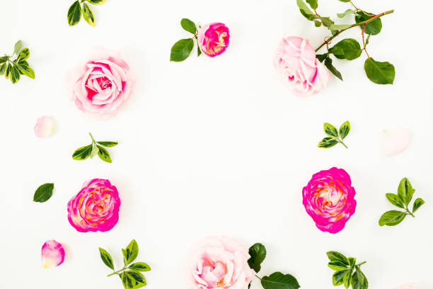 istock Spring time frame background. Floral composition of roses flowers and leaves on white background. Flat lay 1130240936