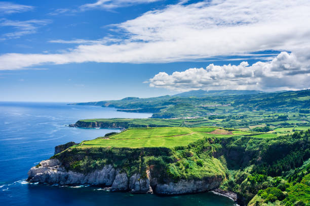 istock the cliff and the ocean 1130242332