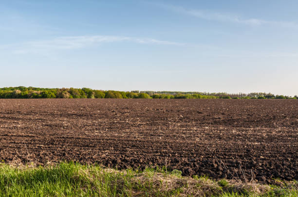 ウクライナのチェルノーゼム フィールド - plowed field dirt agriculture field ストックフォトと画像