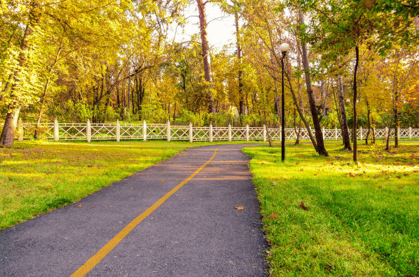 istock Walking and bike path in the park 1130245214