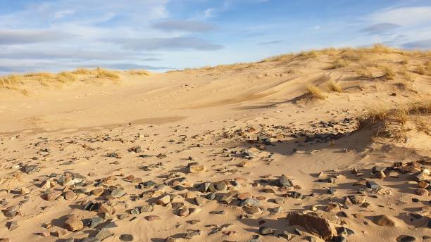 istock Close up of rocks and pebbles in sand 1130246892