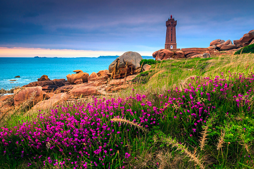 Beautiful stone lighthouse and colorful pink flowers at sunset, Perros Guirec, Bretagne (Brittany region), France, Europe