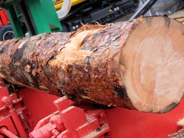 istock woodworking factory 1130248036