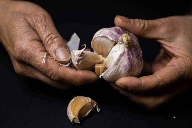 istock A pair of hands hold garlic 1130248043