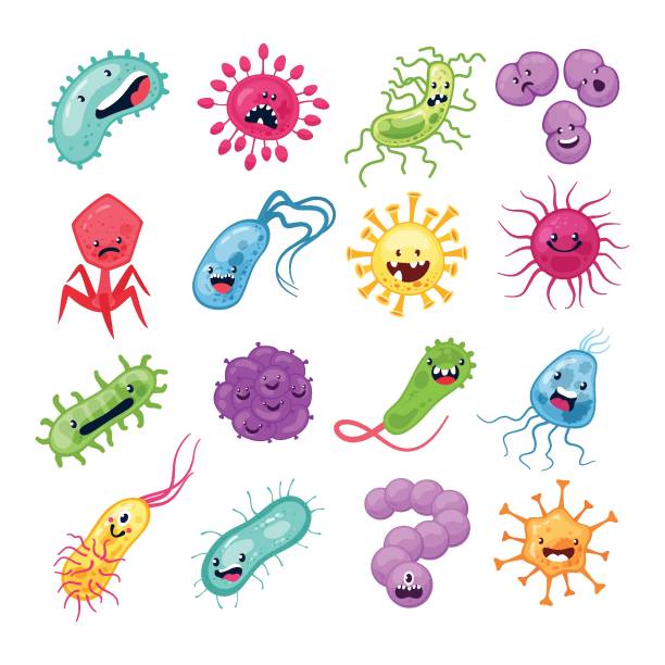 Virus characters. Funny viruses biological allergy microbes epidemiology bacterial infection germ flu microbiology cartoon vector Virus characters. Funny viruses biological allergy microbes epidemiology bacterial infection germ flu microbiology cartoon vector set bacterium stock illustrations