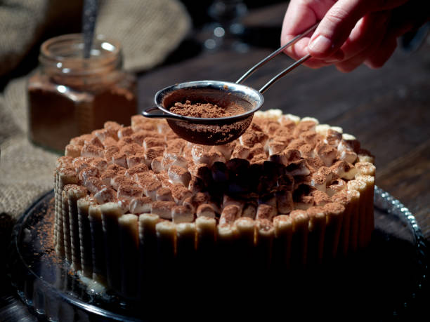 istock Homemade chocolate cheesecake 1130252459