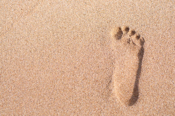 istock Footprints leading towards the sea 1130252984