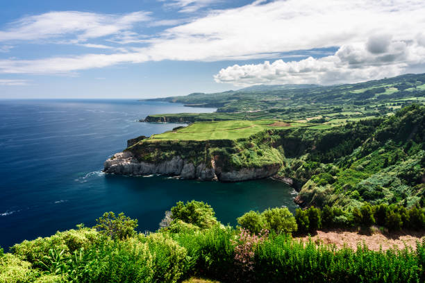 the cliff and the ocean panorama of the coast in azores islands. portugal terceira azores stock pictures, royalty-free photos & images