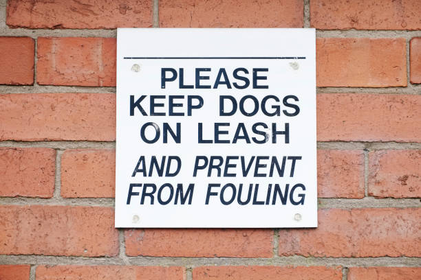 istock Dogs must be kept on a lead or leash sign and icon 1130253716
