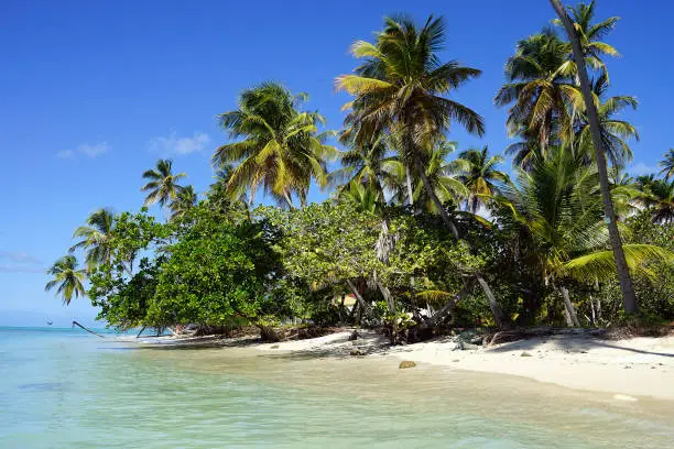 Photo of Pigeon Point Heritage Park in Trinidad and Tobago