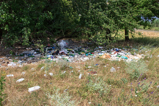 Garbage dump on nature. Environmental pollution. Irresponsibility of man.