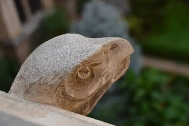 Stone gargoyle representing the head of an eagle