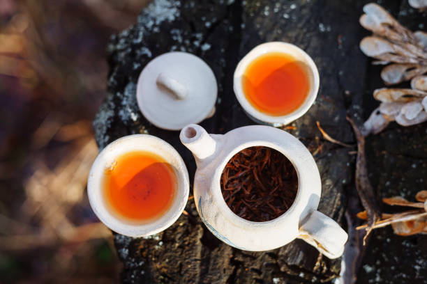 Clay white teapot with blue pattern and two drinking bowls with red tea in the forest on the stump. Top view on the open kettle. Autumn day