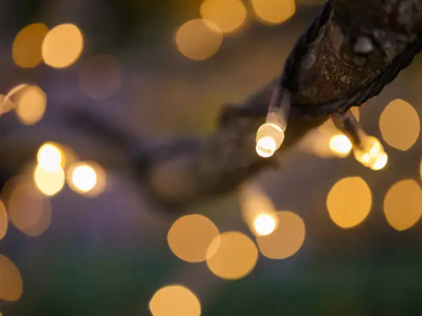 The white Christmas tree lighting. LED Tree Lights.LED Branch Lights