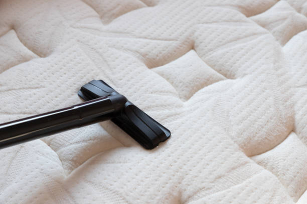 マットレスを掃除機で清掃。塵のダニは、テクスチャのベッドの上。コンセプト: アレルギー ベッド ルーム。 - a room ストックフォトと画像