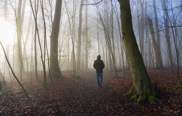 Taking A Walk In The Woods Winter in the UK, and a man walks along a path running through a misty forest. amersham stock pictures, royalty-free photos & images