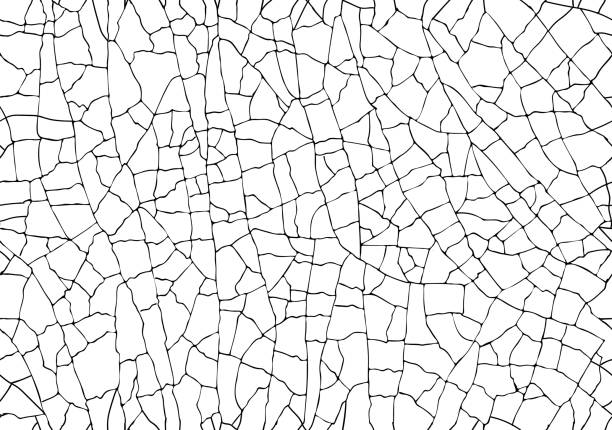 естественная треснувшей текстуры изолирована на белом фоне. бесшовный узор grunge craquelure керамика эффект старый винтажный стиль - leaf vein stock illustrations
