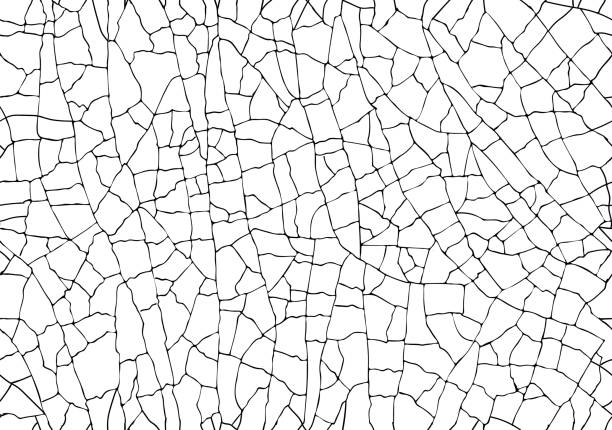 Natural cracked texture isolated on white background. Seamless pattern Grunge craquelure ceramics effect Old vintage style Natural cracked texture isolated on white background. Seamless pattern Grunge craquelure ceramics effect Old vintage style vector illustrations cracked screen print texture stock illustrations