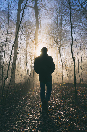 Winter in the UK, and a man walks along a path running through a misty forest.