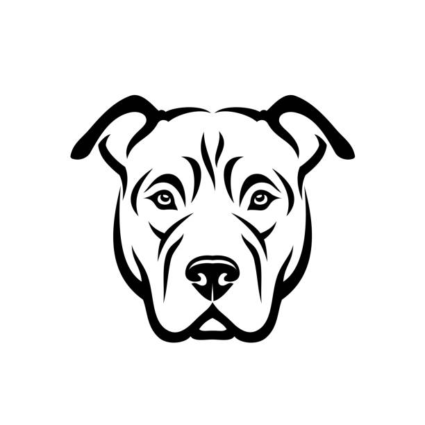 american pitbull terrier pies - izolowana ilustracja wektorowa - terrier dog puppy animal stock illustrations