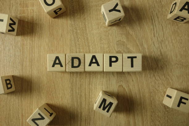 istock Adapt word from wooden blocks 1130260192