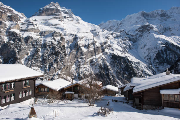 istock winter wonderland 1130265945