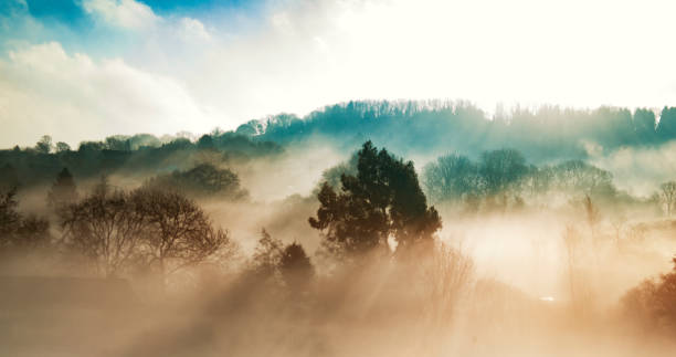 Sunshine coming through the morning mist