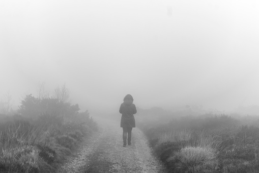 Lone walker in the mist