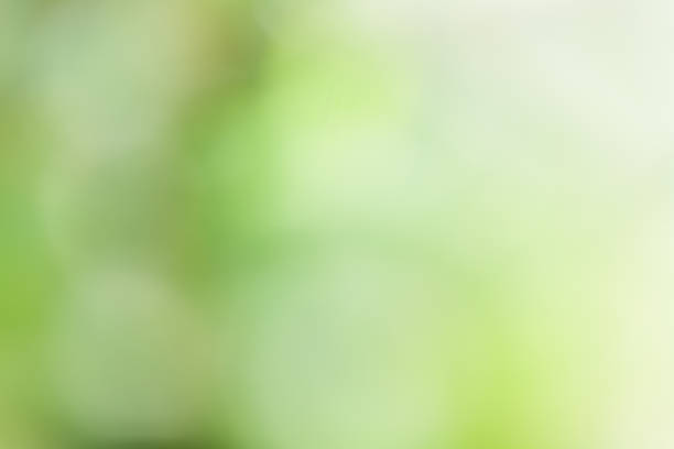 istock Natural green bright blur background of forest 1130267599