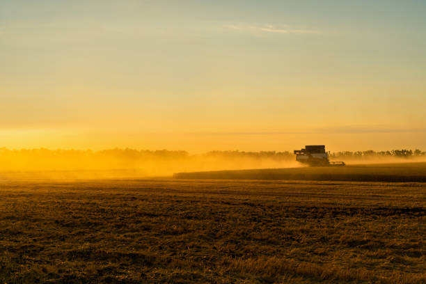 istock Combine harvester harvests wheat 1130269598