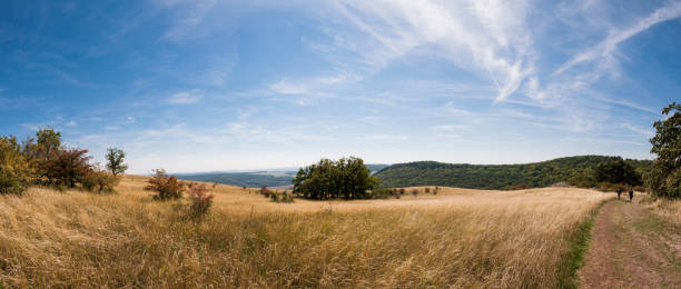 istock Pasture plain with grass and lake in the background 1130271551