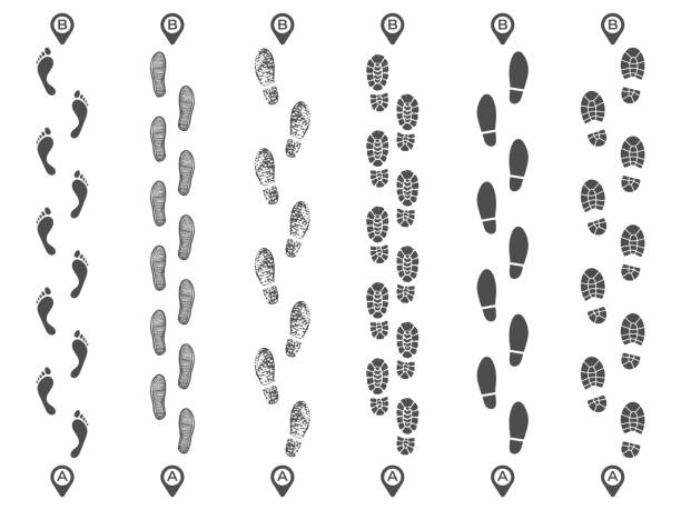 маршруты по следам. след тропа, шаг отпечаток путь маршрута и пешком шаги карты булавки изолированных вектор иллюстрации - sandal stock illustrations