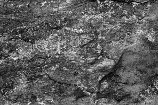 istock Texture, wall, concrete, it can be used as a background 1130279905