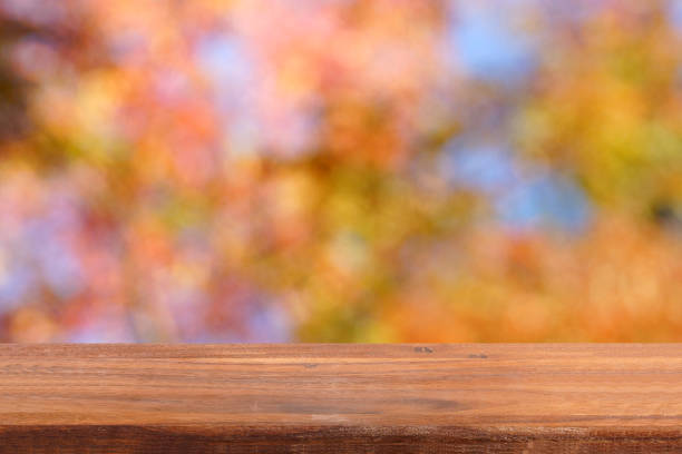 istock Empty wooden table background autumn garden. 1130284096