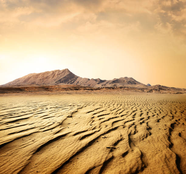 istock Egyptian rocky desert 1130285516