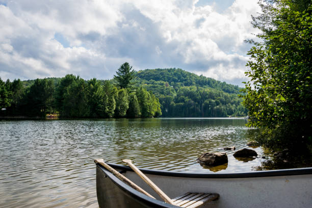 istock Fishing lake at sunset 1130287390